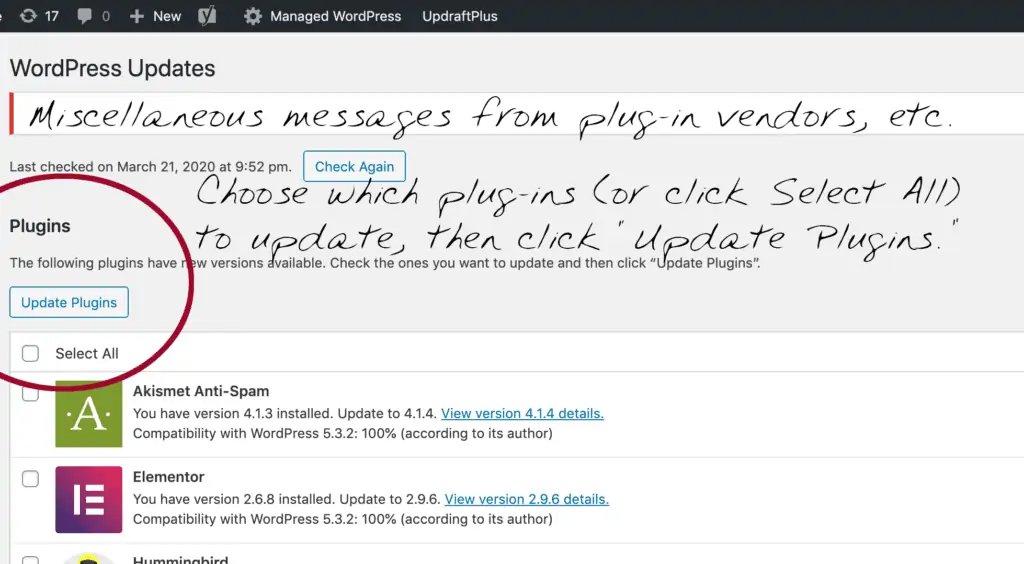 Screenshot - the Admin page for applying WordPress plugin updates