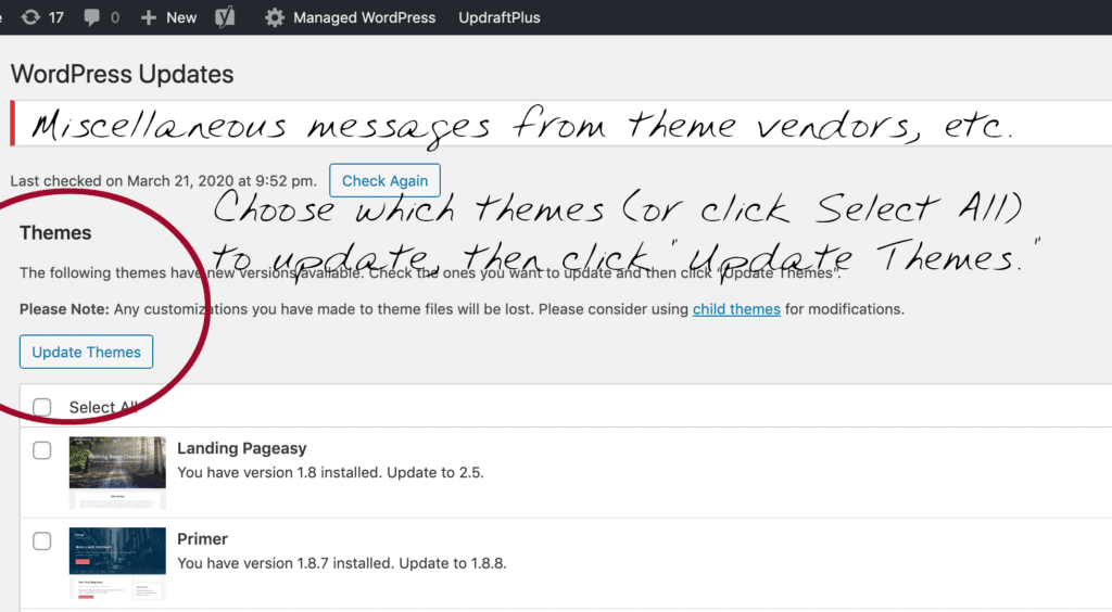 Screenshot - the Admin page for applying WordPress theme updates
