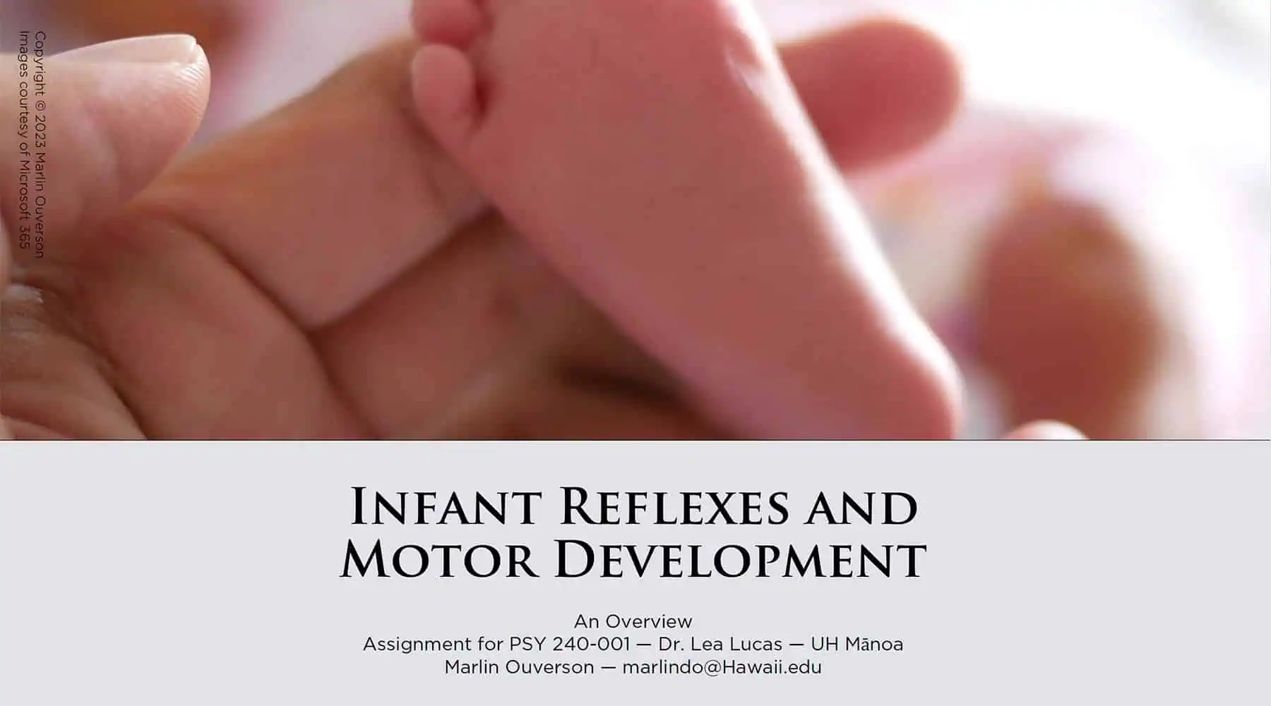 Presentation cover slide: "Infant Reflexes and Motor Development"
